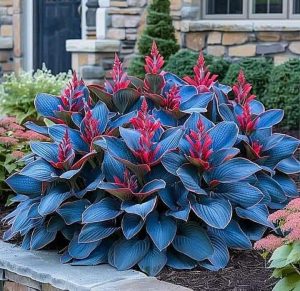 Хоста Грин Фог купить по цене от 669р. в интернет-магазине «Посадика» с доставкой почтой в в Лаишевое и по всей России – [изображение №1].