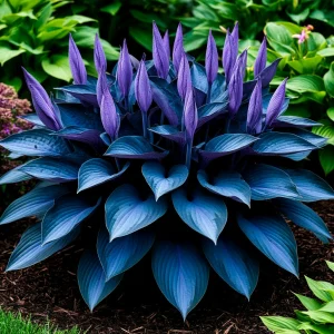 Хоста Сикрет Гров купить по цене от 570р. в интернет-магазине «Посадика» с доставкой почтой в в Лаишевое и по всей России – [изображение №1].